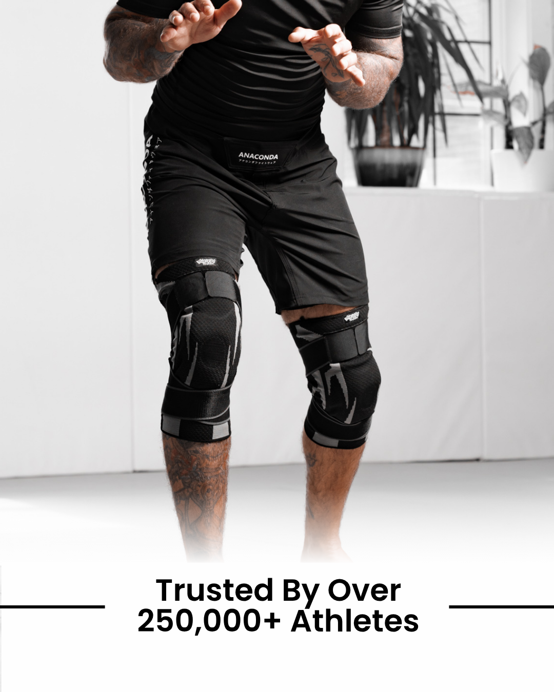 Knee Brace